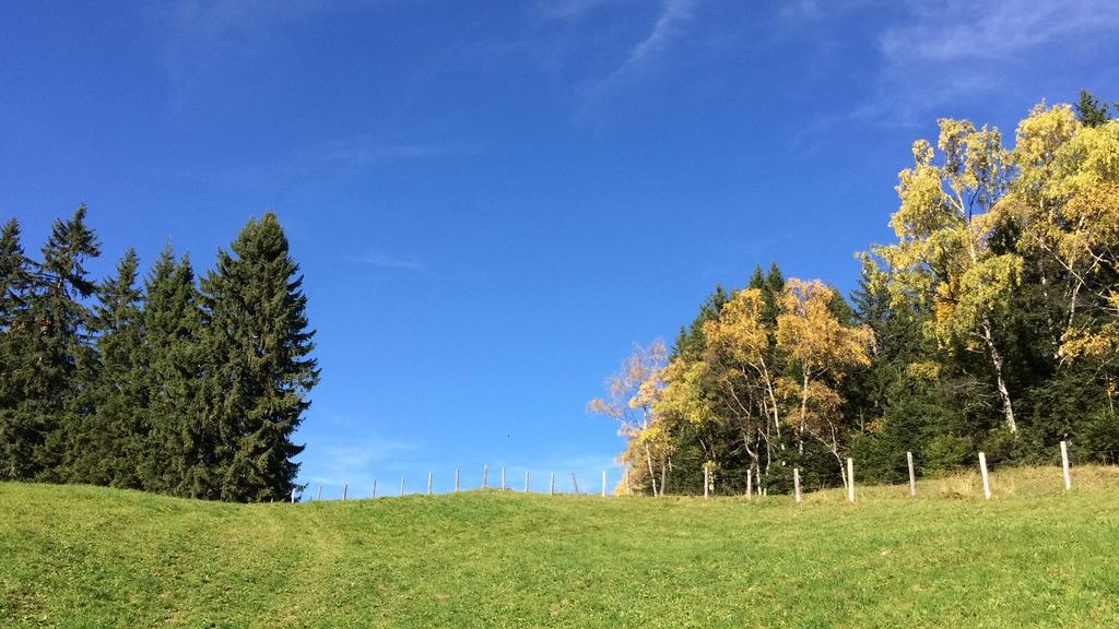 Gaestehaus Regina Uderns Zewnętrze zdjęcie